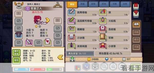 伊洛纳装备改造秘籍,高级改造全解析