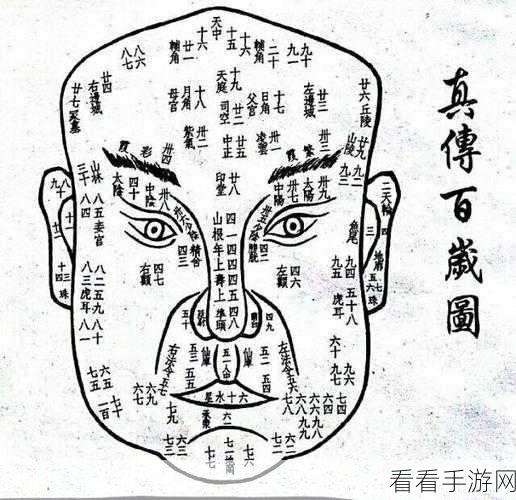 诸神皇冠，掌控黑精面相的终极秘诀