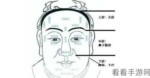 诸神皇冠，掌控黑精面相的终极秘诀