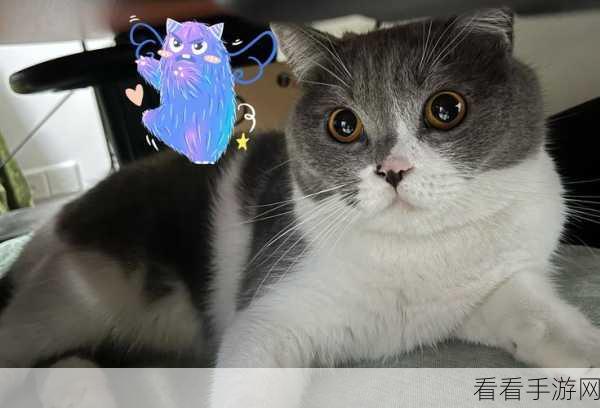 深度探秘，另一个伊甸中 AS 猫可可的独特魅力