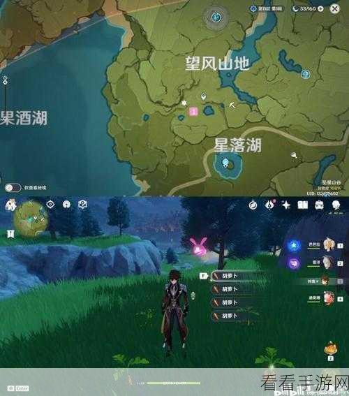 原神胡萝卜采集秘籍，位置与技巧大揭秘