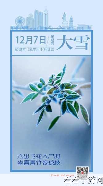 霸天纪大雪节气海报惊艳亮相，冬意满满