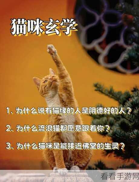 探秘三界铲屎官，走兽猫咪特性全解析