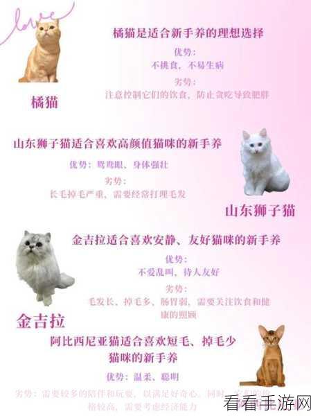 探秘三界铲屎官，走兽猫咪特性全解析