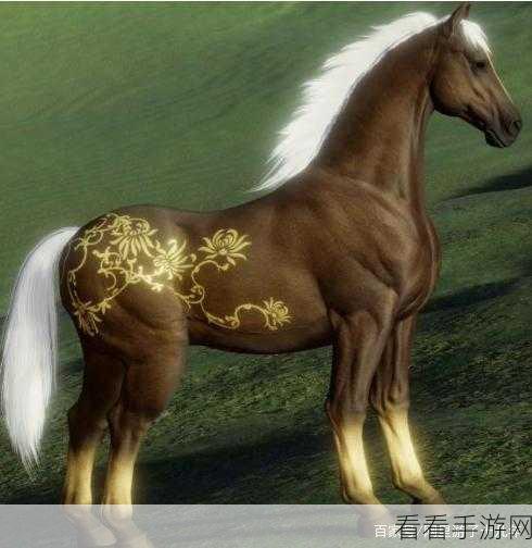 剑网 3 赤蛇马，获取秘籍与绝美外观全攻略