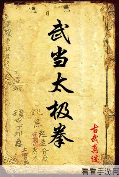 武道神尊，深度解析武功派系，独家武功组合秘籍