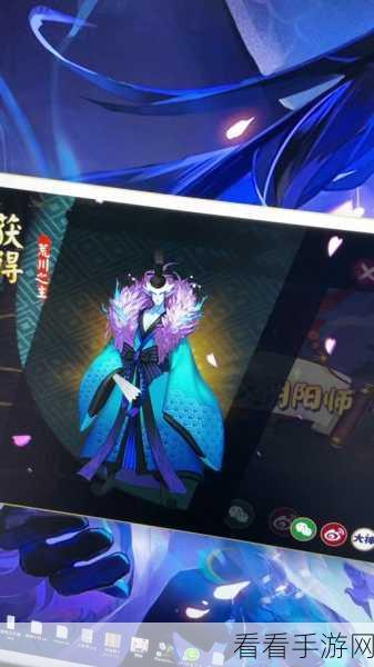 阴阳师手游荒川之主下载动画的大小之谜