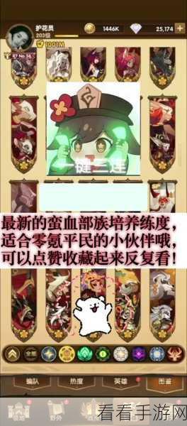 剑与远征，蛮血阵容制霸秘籍大揭秘