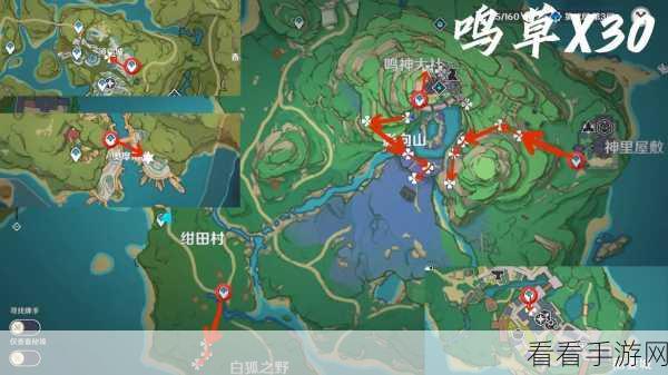 原神鸣草分布全攻略，神秘角落的寻宝之旅