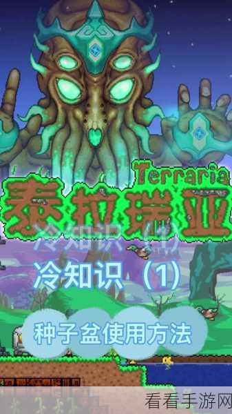 泰拉瑞亚炼金术必备，闪耀根的神奇奥秘