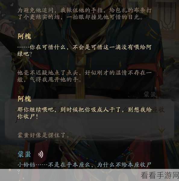 摇光录，乱世公主之大成地理探秘指南