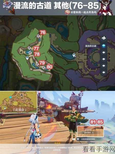 原神枯叶紫英采集攻略，最佳地点大揭秘