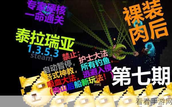 泰拉瑞亚，护士角色的神秘驯服秘籍大公开