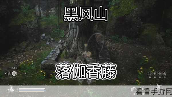 黑神话，悟空 落伽香藤购买秘籍与社交合作全攻略