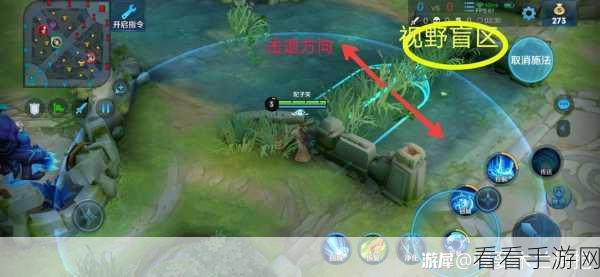 女娲支援队友秘籍，轻松上大分不是梦