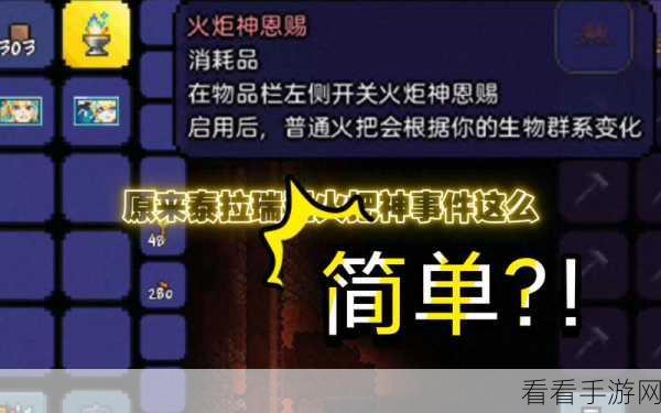 泰拉瑞亚灾厄，解锁火把神的顶级模组秘籍