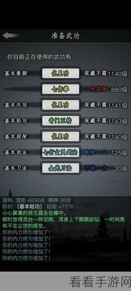 探秘放置江湖天山门派的独特玩法秘籍