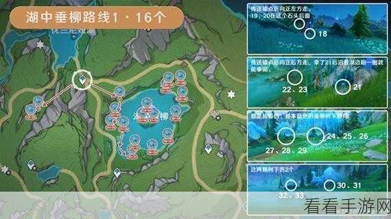 探秘湖光铃兰，全面解析采集路线点位