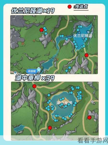 探秘湖光铃兰，全面解析采集路线点位