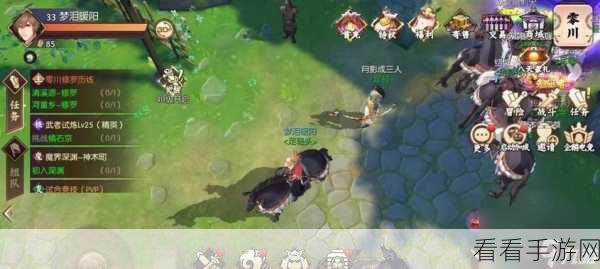 侍魂胧月传说，独家揭秘狐狸坐骑的获取秘籍