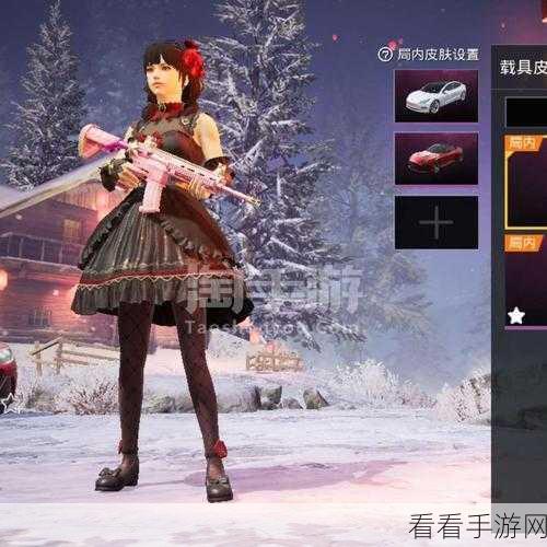 探寻飞机的炫酷皮肤，你不可错过的手游精彩