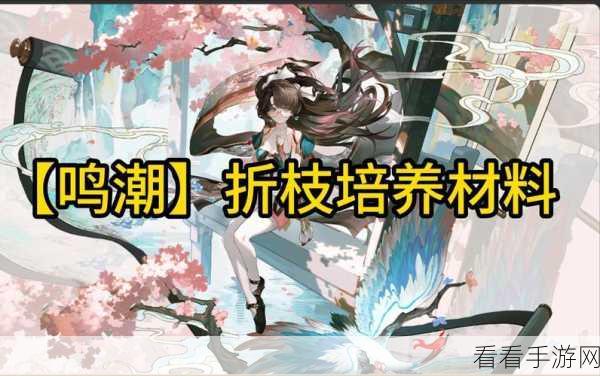 鸣潮手游，好友机密洞察及顶级装备升级材料全攻略