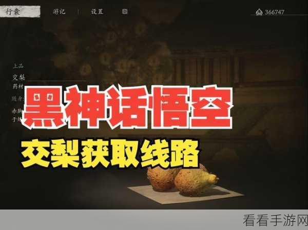黑神话，悟空 交梨获取秘籍 副本开荒与首通详尽攻略