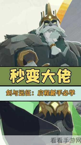 剑与远征，板甲装备魅力与特性的深度探秘