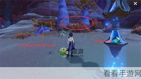 原神刺葵木高效采集秘籍，绝佳路线图大公开