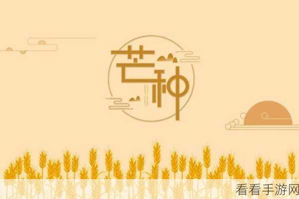 功夫之夜，芒种时节农家乐启镰，激烈角逐忙不停