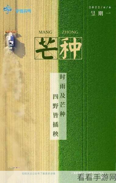 功夫之夜，芒种时节农家乐启镰，激烈角逐忙不停