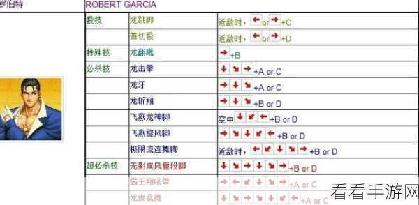 独家揭秘！迷你拳皇体力无限的神奇秘诀