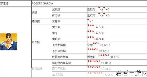 独家揭秘！迷你拳皇体力无限的神奇秘诀