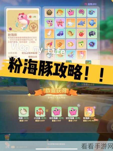 摩尔庄园手游，渔网获取终极秘籍大公开