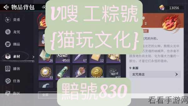 归龙潮瞳龙咒完美搭配秘籍 你选对了吗？