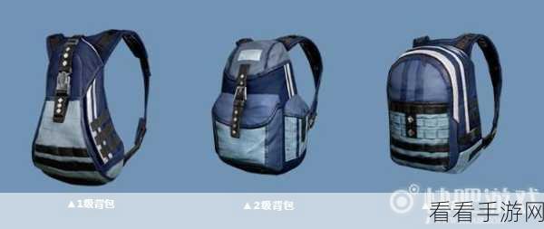 和平精英,100 级手册冲关秘籍大揭秘