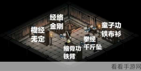 烟雨江湖藏经阁偷书秘籍全解析，珍稀秘籍轻松到手