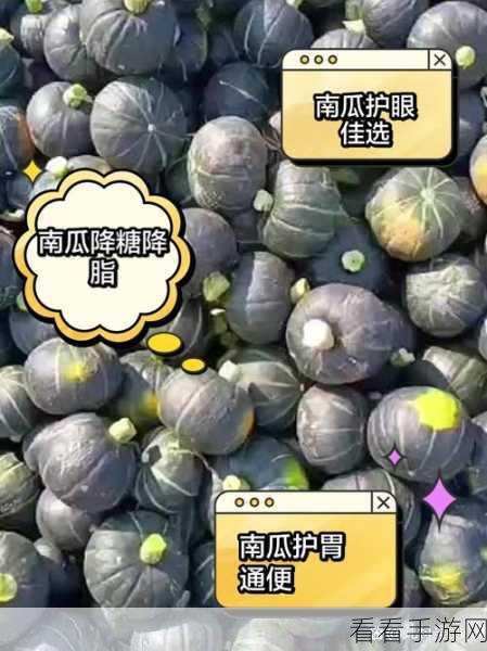 我的世界，南瓜的神奇用途与获取秘籍全揭秘