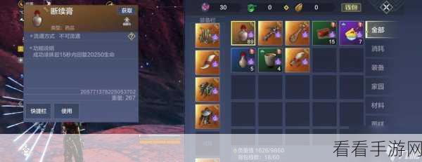探秘妄想山海星后的美味密码