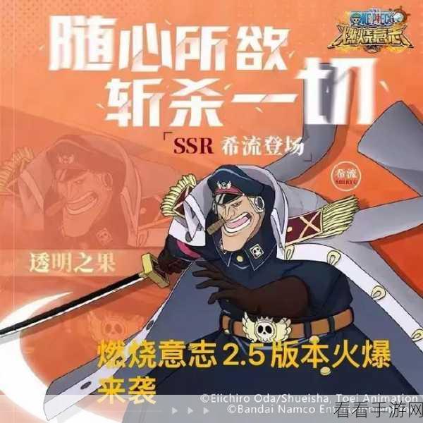 航海王燃烧意志，战国登场，震撼来袭！时间揭秘与深度期待