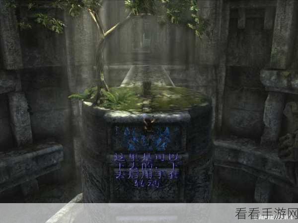 古墓丽影 8，地下世界 深度攻略与神秘秘籍大揭秘