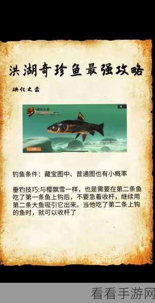 欢乐钓鱼大师，全鱼类大揭秘与致胜秘籍