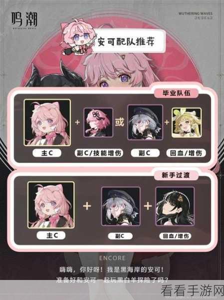 鸣潮安可技能加点秘籍大公开