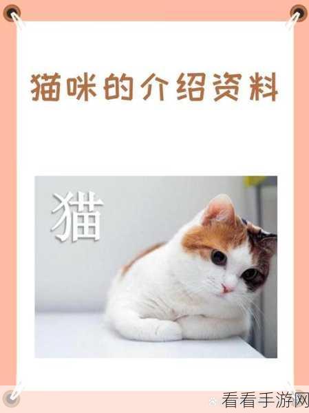 探秘三界铲屎官，异域猫咪特性全解析