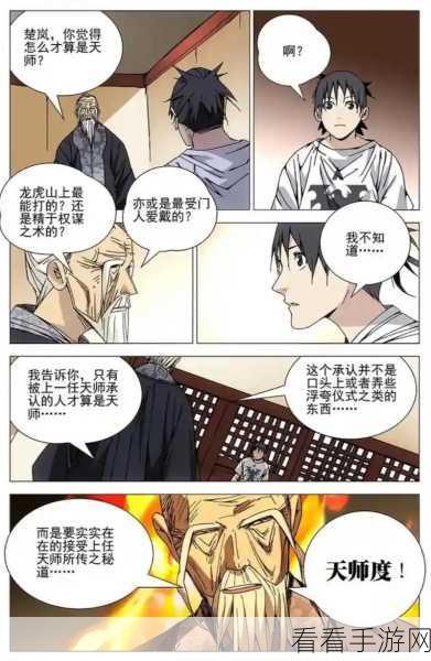 再刷一把神秘传承技天师度大揭秘