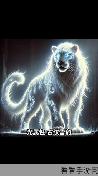 深度解析圣光荣耀之盾利蓓兹的无敌技能