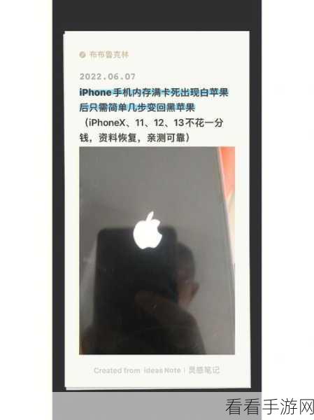 iPhone11 内存满引发白苹果无法开机？超实用快速恢复秘籍