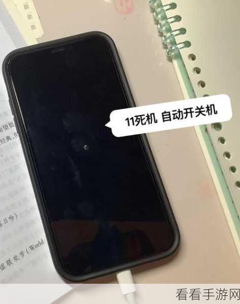 iPhone11 内存满引发白苹果无法开机？超实用快速恢复秘籍