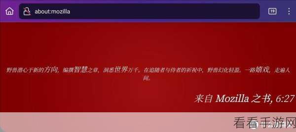 火狐浏览器追踪，如何洞悉谁在监视你？