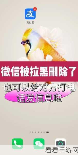 微信拉黑操作大揭秘,轻松找回被拉黑的好友